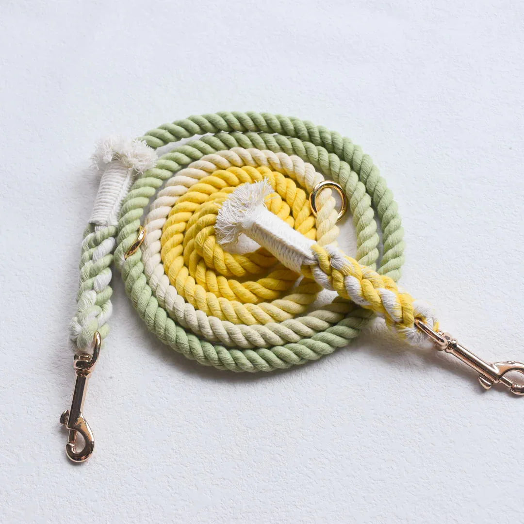 HANDS FREE DOG ROPE LEASH - LIME LEMONADE