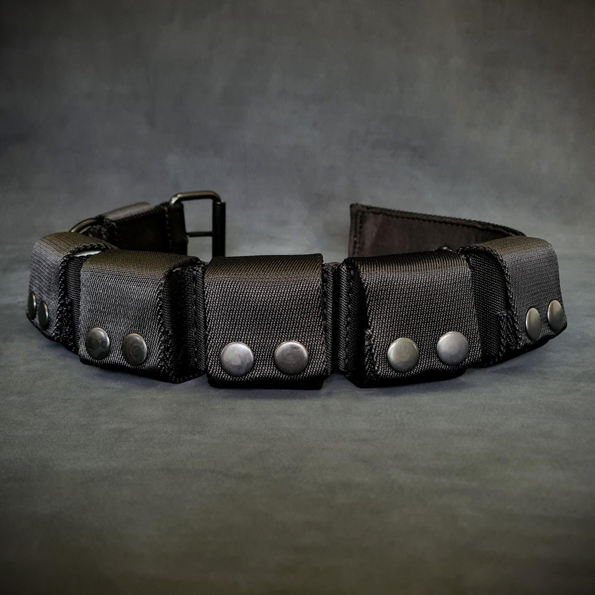 Weighted dog training collar. Large breeds. 5 lbs total. removable weights